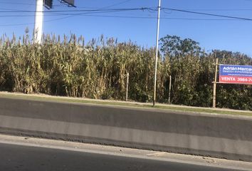 Terrenos en  Dock Sud, Partido De Avellaneda