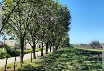 Terrenos en  Villa Carmela, Tucumán