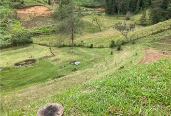 Lote de Terreno en  San Vicente, Antioquia