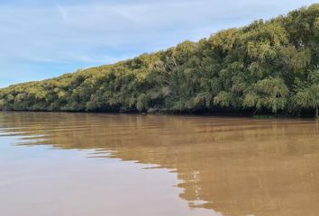 Terrenos en  Canal Del Este, Partido De Tigre