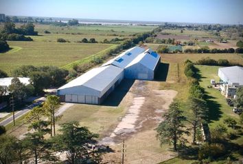 Galpónes/Bodegas en  Alvear, Santa Fe