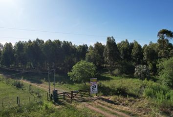 Terrenos en  Colonia San Alselmo, Entre Ríos