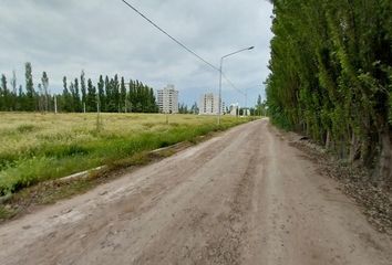 Terrenos en  Confluencia Urbana, Neuquén