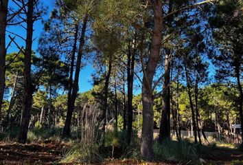 Terrenos en  Otro, Pinamar