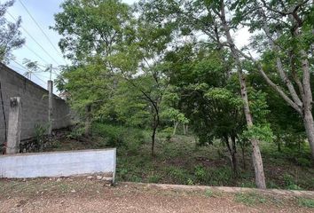 Lote de Terreno en  Calle Cuarta Oriente N, Guadalupe Oriente, Berriozábal, Chiapas, 29130, Mex