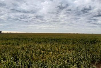 Terrenos en  San Jorge, Santa Fe