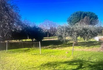 Chalet en  Valdetorres De Jarama, Madrid Provincia