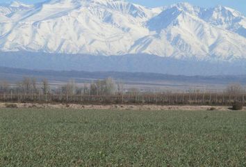 Terrenos en  Luján De Cuyo, Mendoza