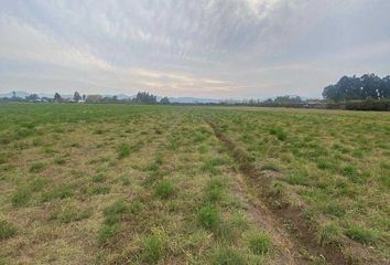 Parcela en  Calera De Tango, Maipo