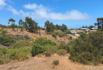 Parcela en  Algarrobo, San Antonio