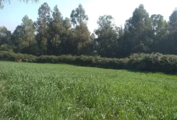 Parcela en  Machalí, Cachapoal