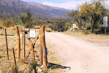 Terrenos en  Merlo, San Luis