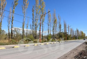 Terrenos en  Cipolletti, Río Negro