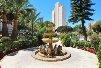 Estudio en  Benidorm, Alicante Provincia