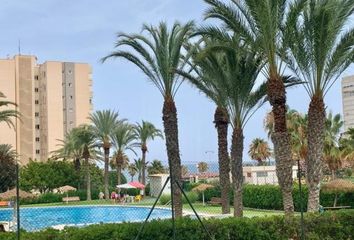 Apartamento en  Elx/elche, Alicante Provincia