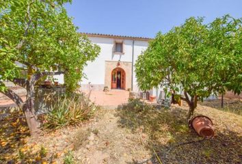 Chalet en  Nord, Palma De Mallorca