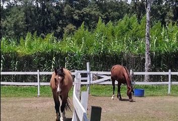 Terrenos en  Haras Del Sol, Partido Del Pilar