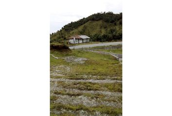 Lote de Terreno en  Herveo, Tolima