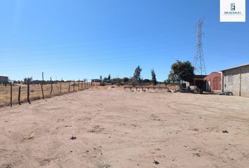 Lote de Terreno en  Carretera Mexicali-tijuana, Ejido Encinal, Tecate, Baja California, 21506, Mex