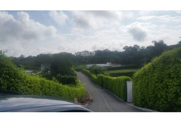 Lote de Terreno en  Palestina, Caldas