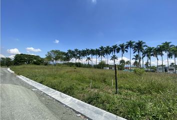 Lote de Terreno en  Cerritos, Pereira