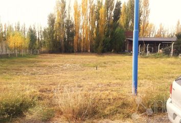 Terrenos en  General Roca, Río Negro