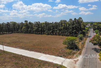 Terrenos en  Monte Grande, Esteban Echeverría