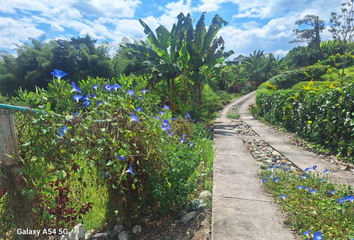 Lote de Terreno en  La Tebaida, Quindío