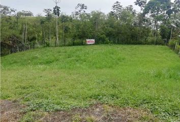 Lote de Terreno en  Cuba Cuba, Pereira