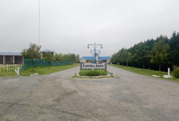 Terrenos en  Máximo Paz, Partido De Cañuelas