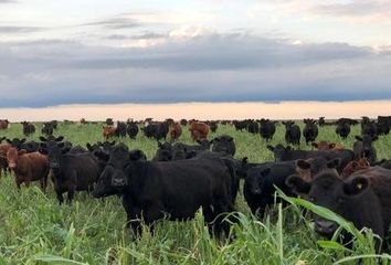 Terrenos en  Conhelo, La Pampa