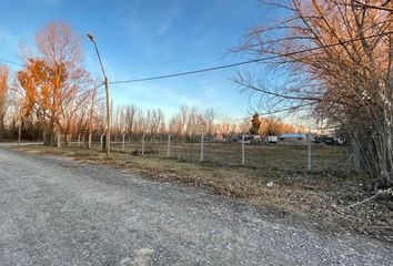 Terrenos en  General Roca, Río Negro