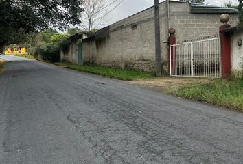 Lote de Terreno en  Carretera Xico-morey, Xico, Veracruz De Ignacio De La Llave, 91243, Mex