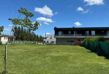 Terrenos en  Dique Luján, Partido De Tigre