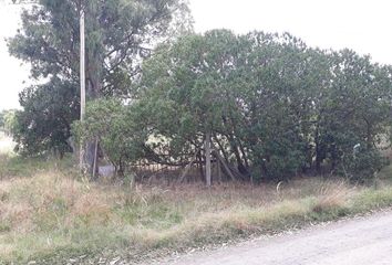 Terrenos en  Villa Elvira, Partido De La Plata