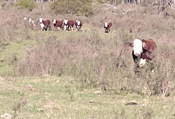 Terrenos en  Los Charrúas, Entre Ríos