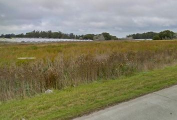 Terrenos en  Bosque Peralta Ramos, Mar Del Plata