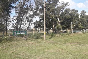 Terrenos en  Domselaar, Partido De San Vicente