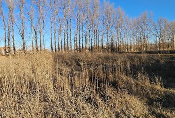 Terrenos en  Vista Alegre, Neuquen