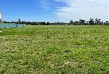 Terrenos en  Hucal, La Pampa