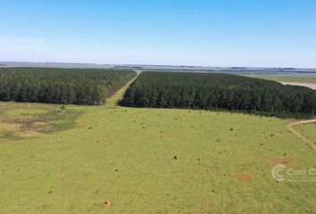 Terrenos en  Santo Tomé, Corrientes