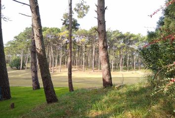 Terrenos en  Otro, Pinamar