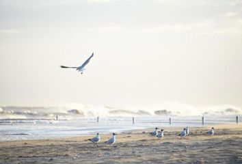 Terrenos en  Buenos Aires Costa Atlántica