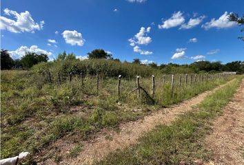 Lote de Terreno en  Montemorelos Centro, Montemorelos