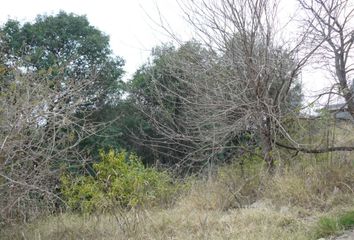 Terrenos en  San Alfonso Del Talar, Córdoba