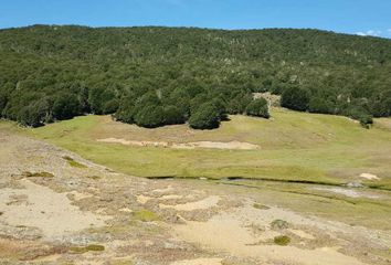 Parcela en  Río Ibáñez, General Carrera