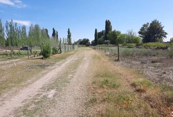 Terrenos en  Luján De Cuyo, Mendoza