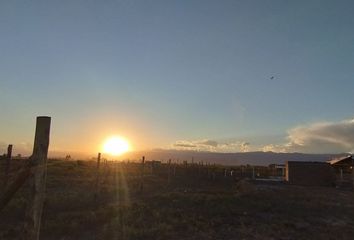 Terrenos en  La Pega, Mendoza