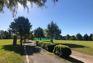 Terrenos en  Lomas De San Isidro, Partido De San Isidro