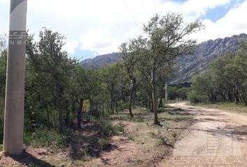 Terrenos en  Cortaderas, San Luis